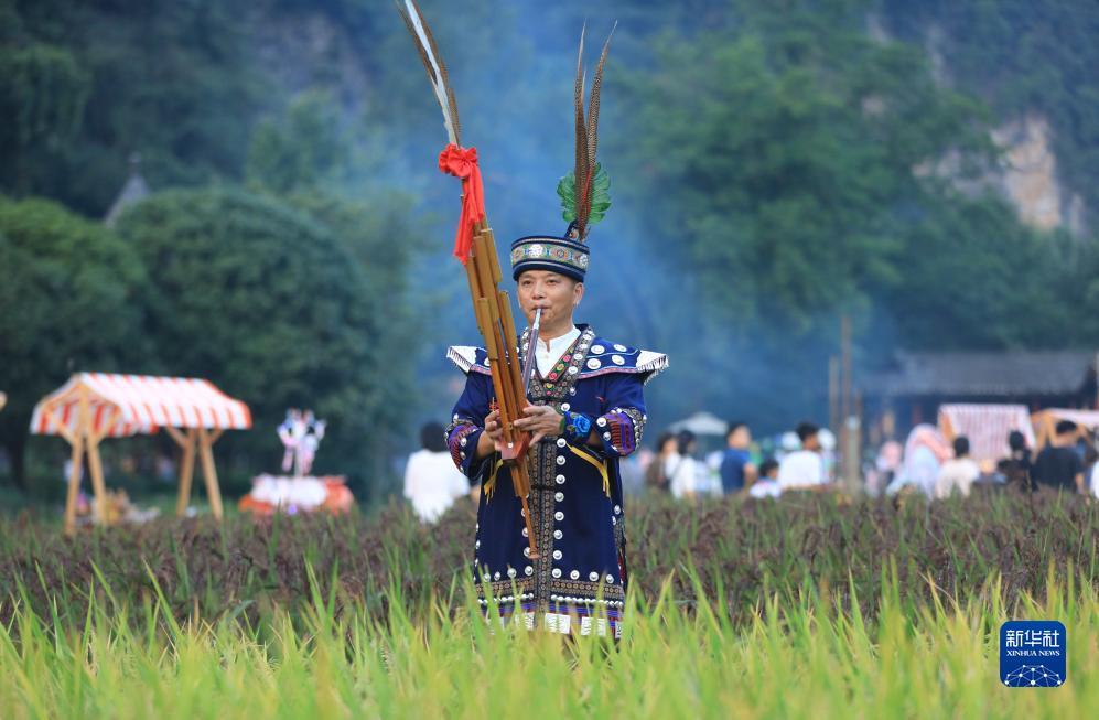 369平台是个什么平台